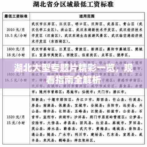 湖北大型专题片精彩一览，观看指南全解析