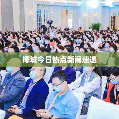 椰城今日热点新闻速递