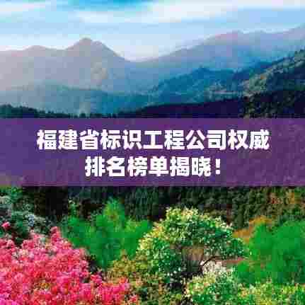 福建省标识工程公司权威排名榜单揭晓！