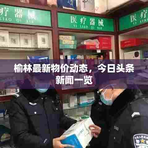 榆林最新物价动态，今日头条新闻一览