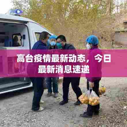 高台疫情最新动态，今日最新消息速递