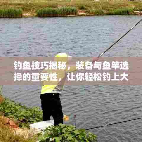 钓鱼技巧揭秘，装备与鱼竿选择的重要性，让你轻松钓上大鱼！