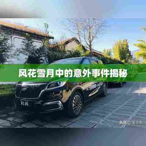 风花雪月中的意外事件揭秘