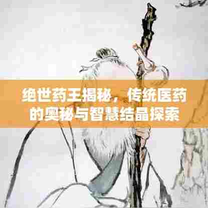 绝世药王揭秘，传统医药的奥秘与智慧结晶探索