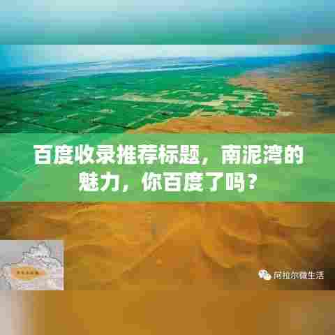 百度收录推荐标题，南泥湾的魅力，你百度了吗？