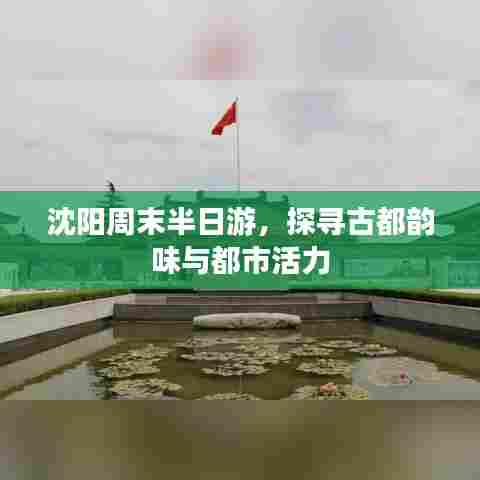 沈阳周末半日游，探寻古都韵味与都市活力