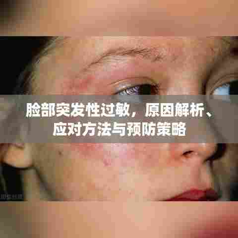 脸部突发性过敏，原因解析、应对方法与预防策略