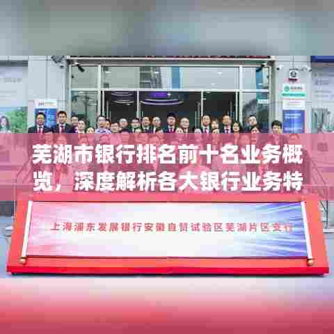 芜湖市银行排名前十名业务概览，深度解析各大银行业务特色与实力优势