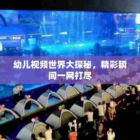 幼儿视频世界大探秘，精彩瞬间一网打尽