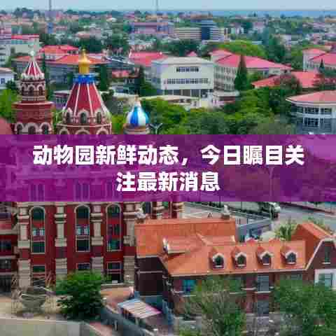 动物园新鲜动态，今日瞩目关注最新消息