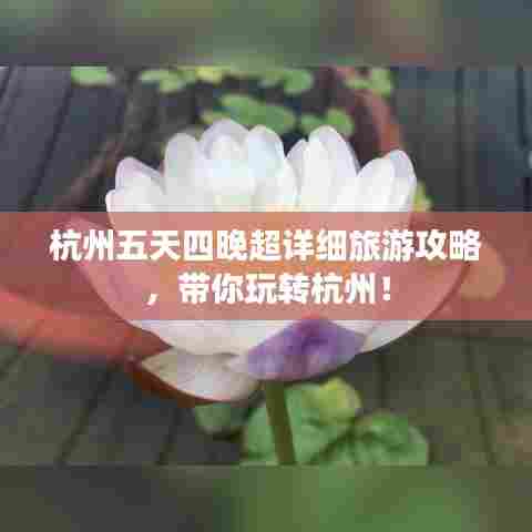 杭州五天四晚超详细旅游攻略，带你玩转杭州！