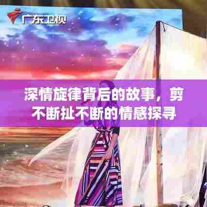 深情旋律背后的故事,剪不断扯不断的情感探寻