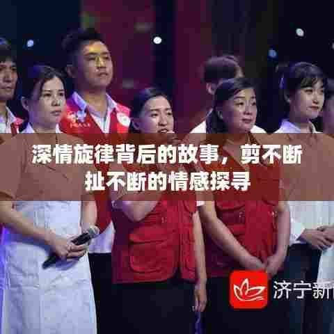 深情旋律背后的故事,剪不断扯不断的情感探寻