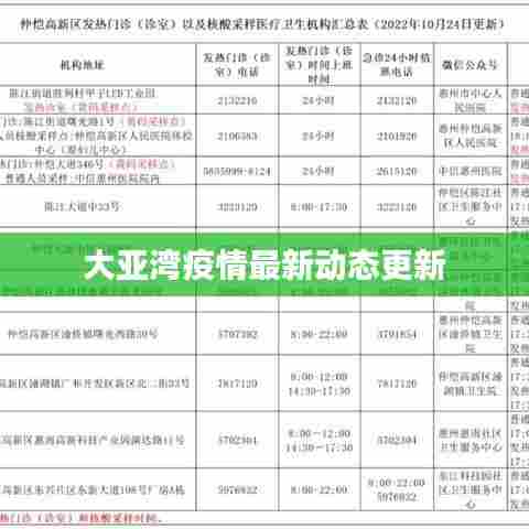 大亚湾疫情最新动态更新