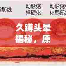 久蹲头晕揭秘，原因解析与应对良方