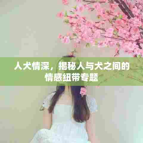 人犬情深，揭秘人与犬之间的情感纽带专题