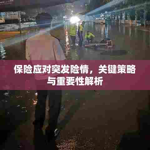 保险应对突发险情，关键策略与重要性解析