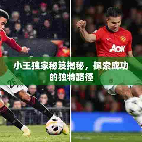 小王独家秘笈揭秘，探索成功的独特路径