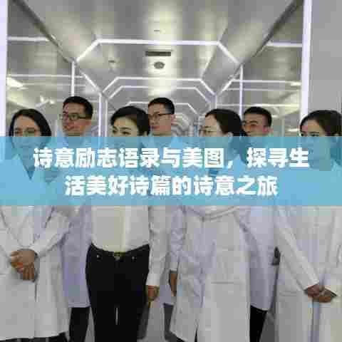诗意励志语录与美图，探寻生活美好诗篇的诗意之旅