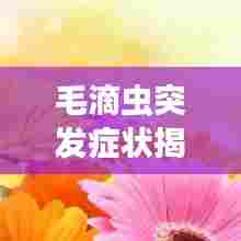 毛滴虫突发症状揭秘，了解这些迹象，及时预防与治疗