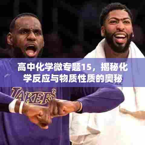 高中化学微专题15，揭秘化学反应与物质性质的奥秘