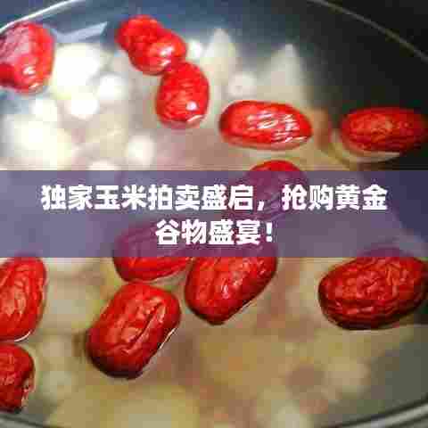 独家玉米拍卖盛启，抢购黄金谷物盛宴！