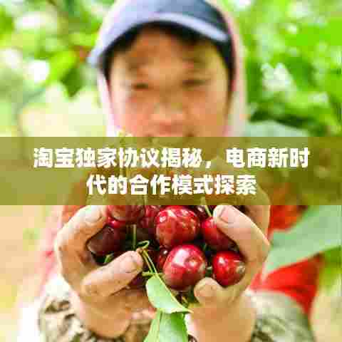 淘宝独家协议揭秘，电商新时代的合作模式探索