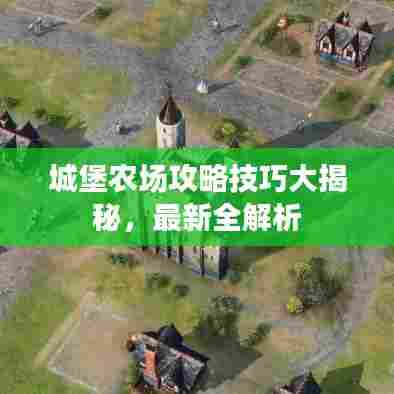 城堡农场攻略技巧大揭秘，最新全解析