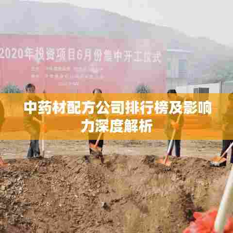 中药材配方公司排行榜及影响力深度解析