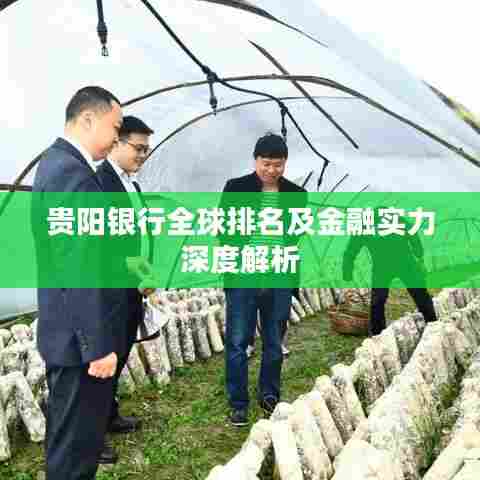 贵阳银行全球排名及金融实力深度解析