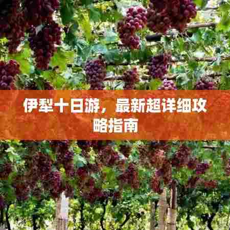 集思广益 第6页