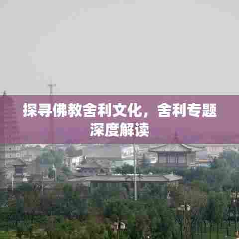 探寻佛教舍利文化，舍利专题深度解读