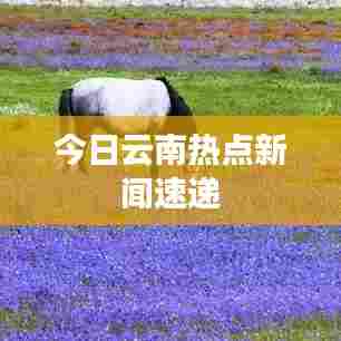 今日云南热点新闻速递
