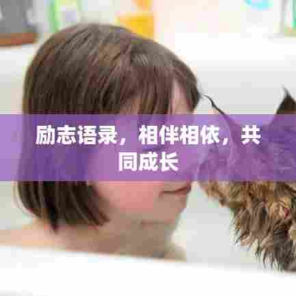 励志语录，相伴相依，共同成长