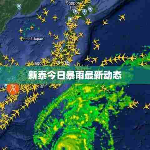 新泰今日暴雨最新动态