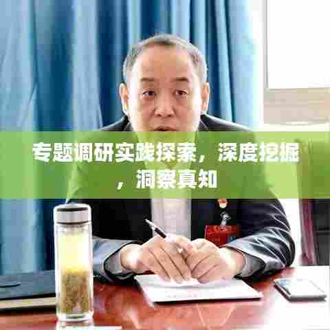 专题调研实践探索，深度挖掘，洞察真知