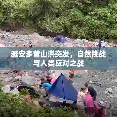 雅安多营山洪突发，自然挑战与人类应对之战