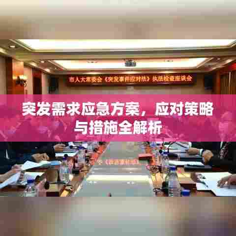突发需求应急方案，应对策略与措施全解析