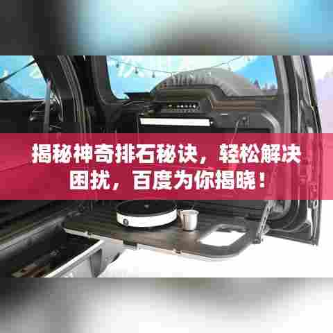 勤勤恳恳 第5页