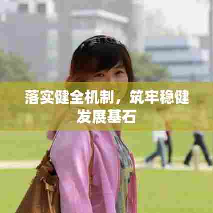 落实健全机制，筑牢稳健发展基石