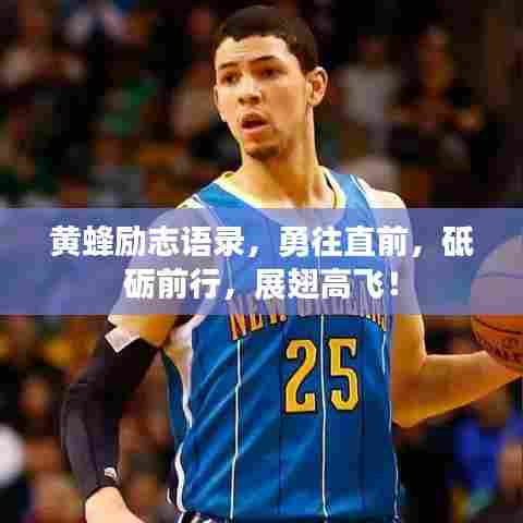 黄蜂励志语录，勇往直前，砥砺前行，展翅高飞！