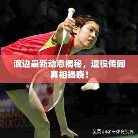 渡边最新动态揭秘，退役传闻真相揭晓！