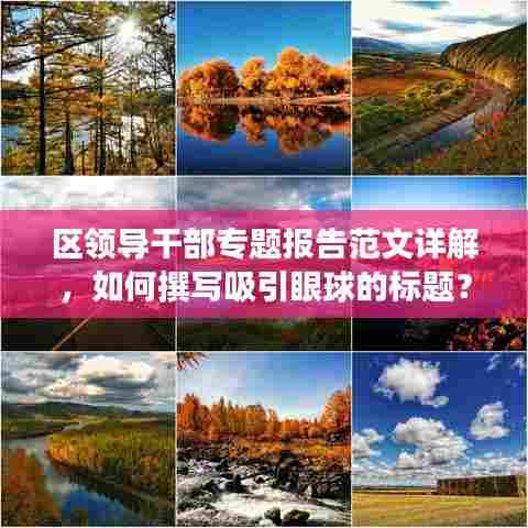 区领导干部专题报告范文详解，如何撰写吸引眼球的标题？