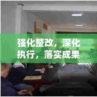 强化整改，深化执行，落实成果显著！