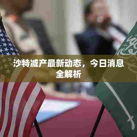 沙特减产最新动态，今日消息全解析