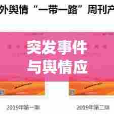 突发事件与舆情应对，特点解析与引导策略之道