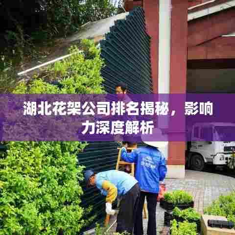 湖北花架公司排名揭秘，影响力深度解析