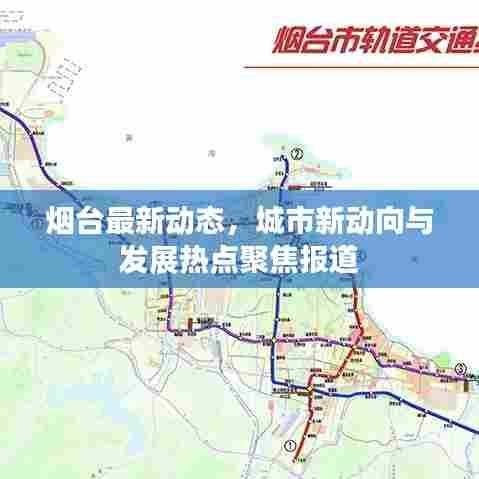 烟台最新动态，城市新动向与发展热点聚焦报道