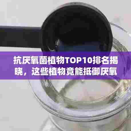 抗厌氧菌植物TOP10排名揭晓，这些植物竟能抵御厌氧菌！
