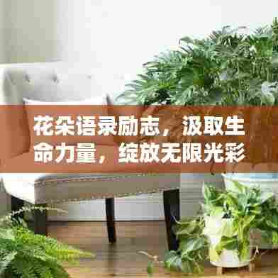 花朵语录励志，汲取生命力量，绽放无限光彩！